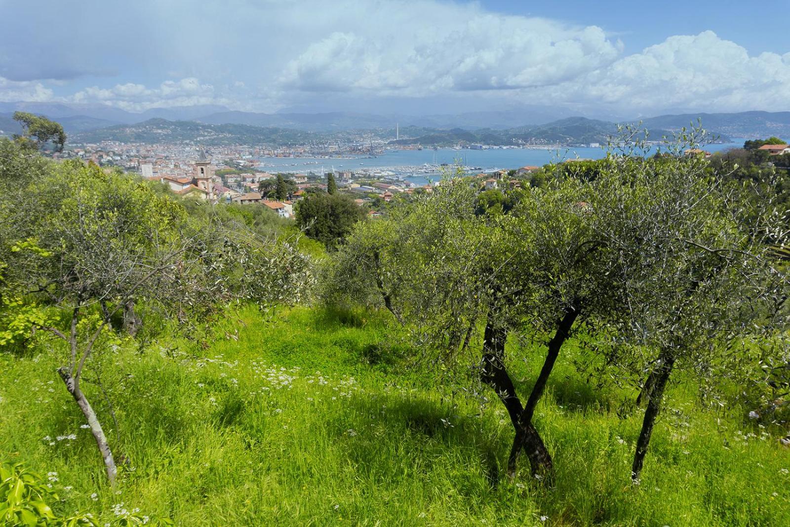斯培西亚Gli Ulivi Sul Golfo E Le 5 Terre公寓 外观 照片