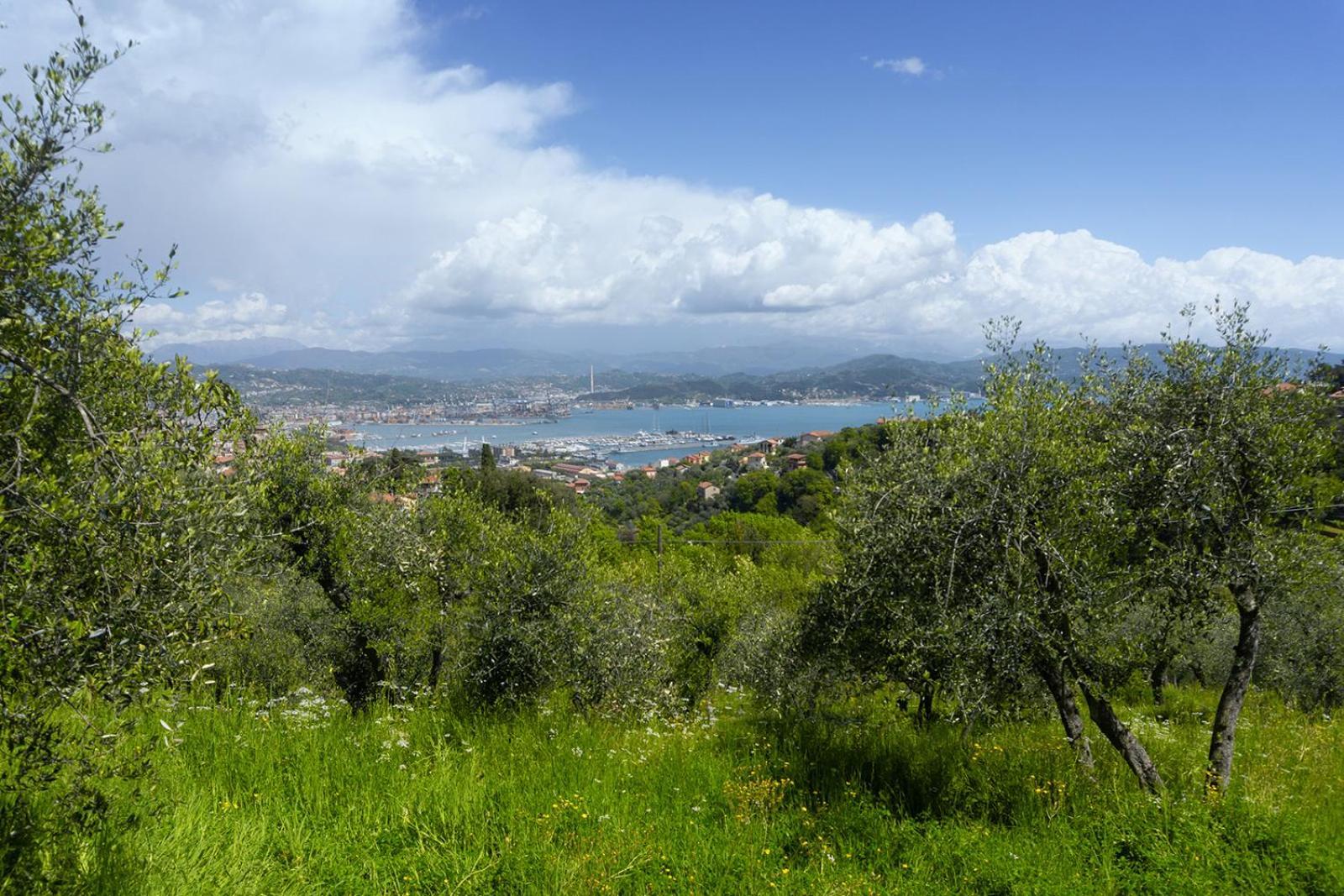 斯培西亚Gli Ulivi Sul Golfo E Le 5 Terre公寓 外观 照片