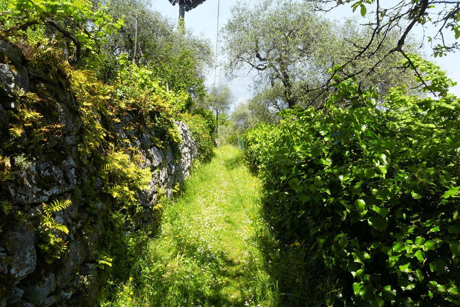 斯培西亚Gli Ulivi Sul Golfo E Le 5 Terre公寓 外观 照片