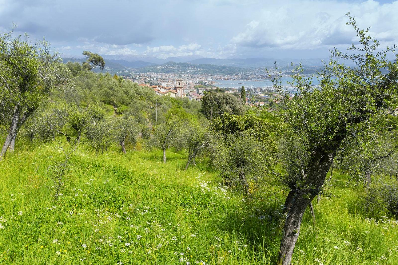 斯培西亚Gli Ulivi Sul Golfo E Le 5 Terre公寓 外观 照片