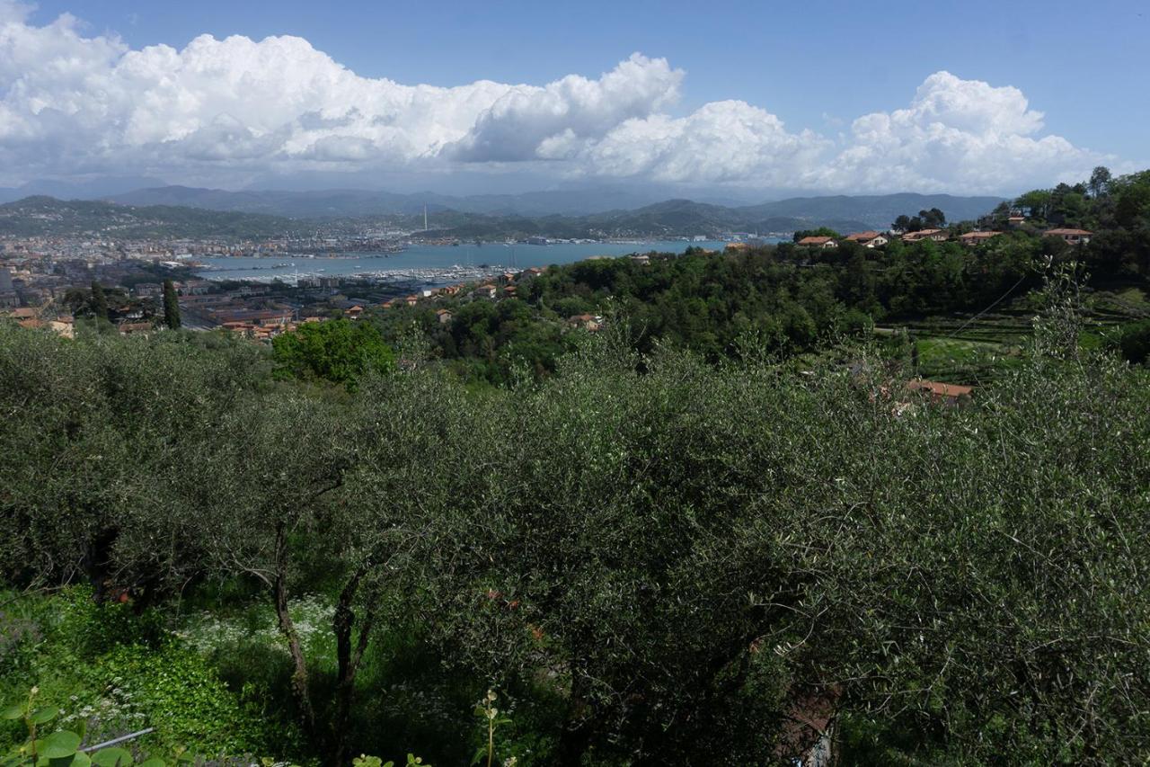 斯培西亚Gli Ulivi Sul Golfo E Le 5 Terre公寓 外观 照片