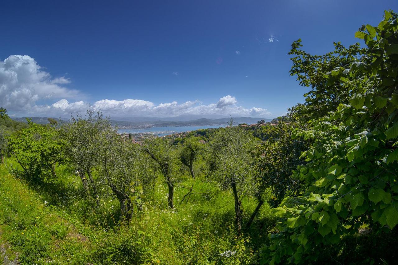 斯培西亚Gli Ulivi Sul Golfo E Le 5 Terre公寓 外观 照片