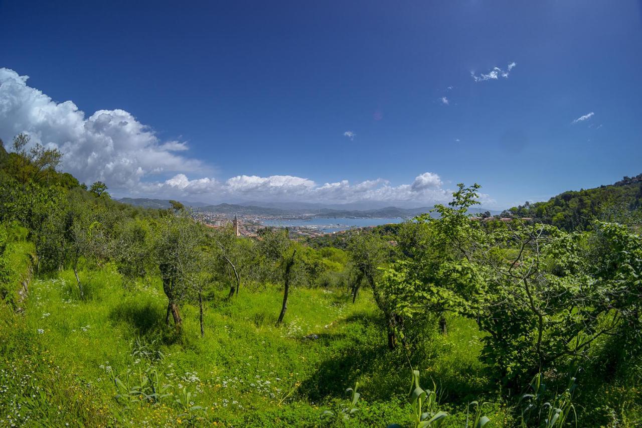 斯培西亚Gli Ulivi Sul Golfo E Le 5 Terre公寓 外观 照片